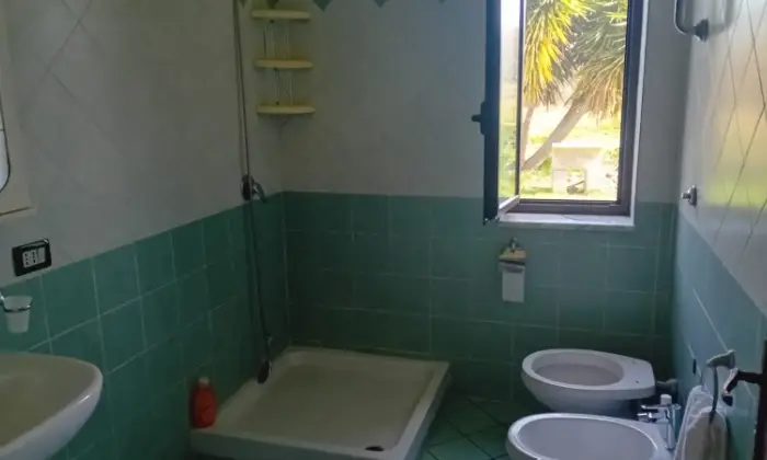 Rexer-Ceraso-Vendesi-Rustico-con-terreno-agricolo-Altro