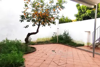 Rexer-Salice-Salentino-Casa-tipica-salentina-con-ingresso-indipendente-e-giardinetto-Altro