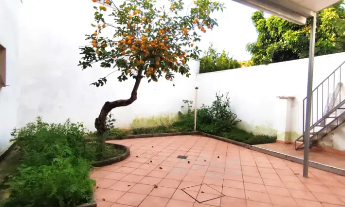 Rexer-Salice-Salentino-Casa-tipica-salentina-con-ingresso-indipendente-e-giardinetto-Altro