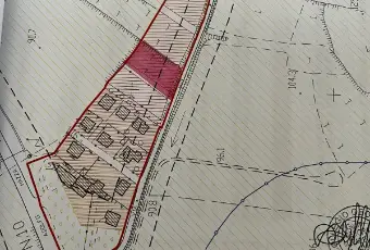 Rexer-Montebello-della-Battaglia-Terreno-edificabile-residenziale-Montebello-della-Battaglia-Altro