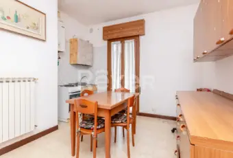 Rexer-Venezia-Appartamento-alla-Cipressina-Altro