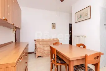 Rexer-Venezia-Appartamento-alla-Cipressina-Altro