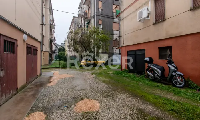 Rexer-Venezia-Appartamento-alla-Cipressina-Altro
