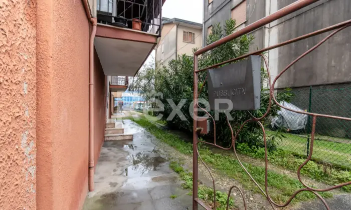 Rexer-Venezia-Appartamento-alla-Cipressina-Altro