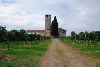 Rexer-Almenno-San-Salvatore-Tenuta-vitivinicola-con-fabbricati-storici-e-terreni-per-circa-ettari-Altro