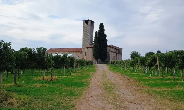 Rexer-Almenno-San-Salvatore-Tenuta-vitivinicola-con-fabbricati-storici-e-terreni-per-circa-ettari-Altro