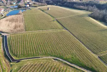 Rexer-Almenno-San-Salvatore-Tenuta-vitivinicola-con-fabbricati-storici-e-terreni-per-circa-ettari-Altro