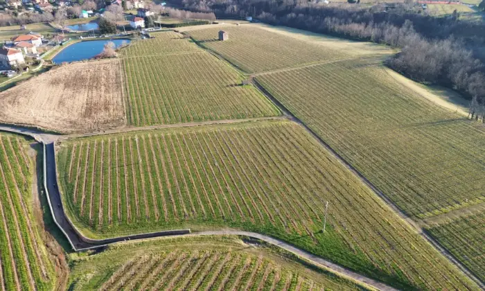 Rexer-Almenno-San-Salvatore-Tenuta-vitivinicola-con-fabbricati-storici-e-terreni-per-circa-ettari-Altro