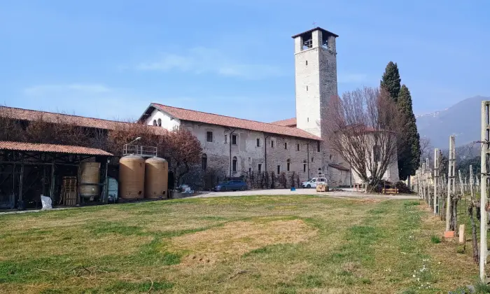 Rexer-Almenno-San-Salvatore-Tenuta-vitivinicola-con-fabbricati-storici-e-terreni-per-circa-ettari-Altro