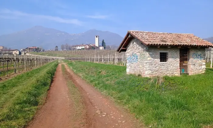 Rexer-Almenno-San-Salvatore-Tenuta-vitivinicola-con-fabbricati-storici-e-terreni-per-circa-ettari-Altro