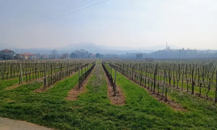 Rexer-Almenno-San-Salvatore-Tenuta-vitivinicola-con-fabbricati-storici-e-terreni-per-circa-ettari-Altro