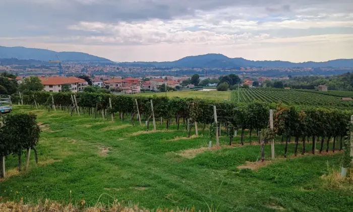 Rexer-Almenno-San-Salvatore-Tenuta-vitivinicola-con-fabbricati-storici-e-terreni-per-circa-ettari-Altro