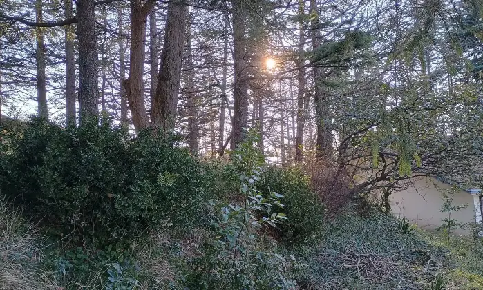 Rexer-MontescudoMonte-Colombo-Vendesi-Villetta-Unifamiliare-con-Vista-Mare-a-Montescudo-Altro