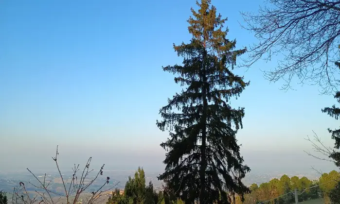 Rexer-MontescudoMonte-Colombo-Vendesi-Villetta-Unifamiliare-con-Vista-Mare-a-Montescudo-Altro