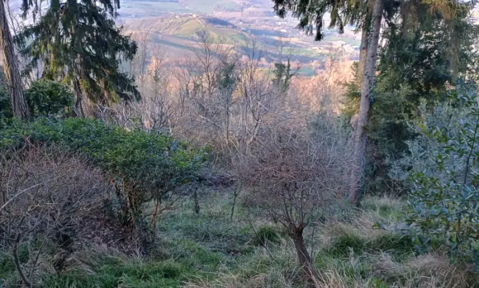 Rexer-Montescudo-Vendesi-Villetta-Unifamiliare-con-Vista-Mare-a-Montescudo-Altro