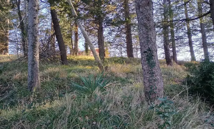 Rexer-MontescudoMonte-Colombo-Vendesi-Villetta-Unifamiliare-con-Vista-Mare-a-Montescudo-Altro