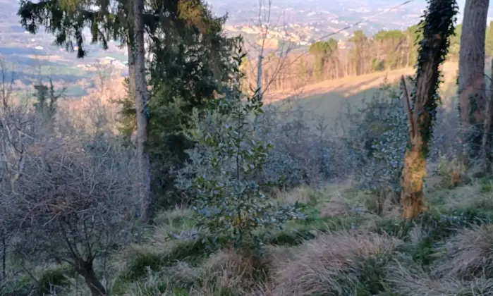 Rexer-MontescudoMonte-Colombo-Vendesi-Villetta-Unifamiliare-con-Vista-Mare-a-Montescudo-Altro