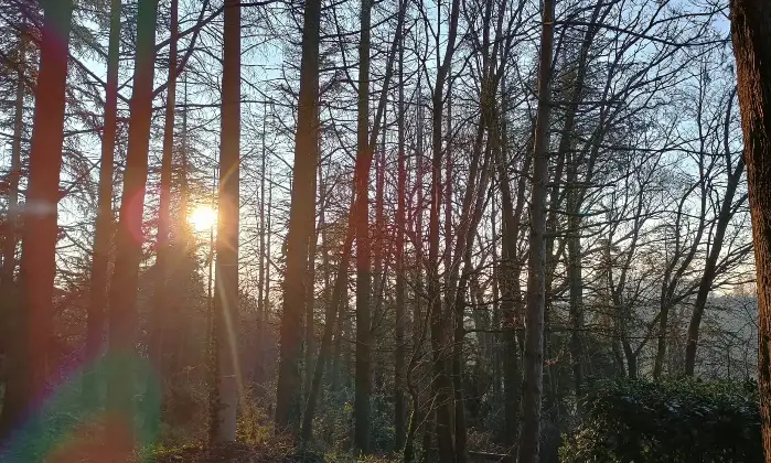 Rexer-MontescudoMonte-Colombo-Vendesi-Villetta-Unifamiliare-con-Vista-Mare-a-Montescudo-Altro