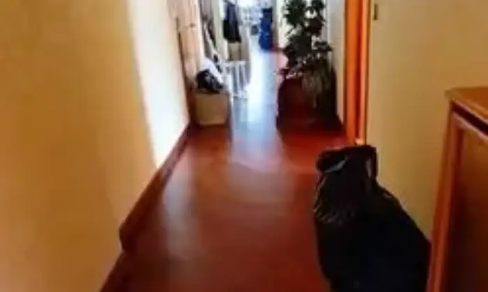 Rexer-Ciciliano-Vendesi-appartamento-a-Ciciliano-RM-Altro