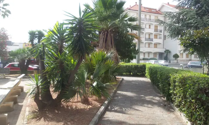 Rexer-San-Bartolomeo-al-Mare-Bilocale-giardino-allinterno-del-residence