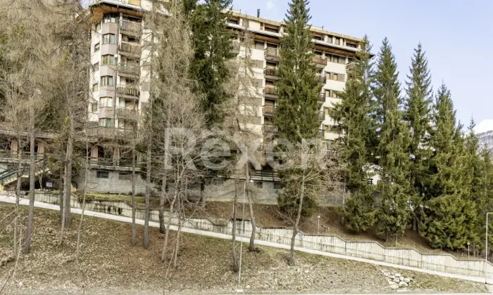 Rexer-Limone-Piemonte-LIMONE-PIEMONTE-CN-AMPIO-BILOCALECON-BOX-AUTO-Altro