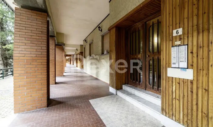 Rexer-Limone-Piemonte-LIMONE-PIEMONTE-CN-AMPIO-BILOCALECON-BOX-AUTO-Altro