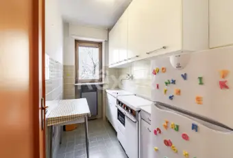 Rexer-Limone-Piemonte-LIMONE-PIEMONTE-CN-AMPIO-BILOCALECON-BOX-AUTO-Altro