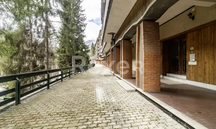 Rexer-Limone-Piemonte-LIMONE-PIEMONTE-CN-AMPIO-BILOCALECON-BOX-AUTO-Altro