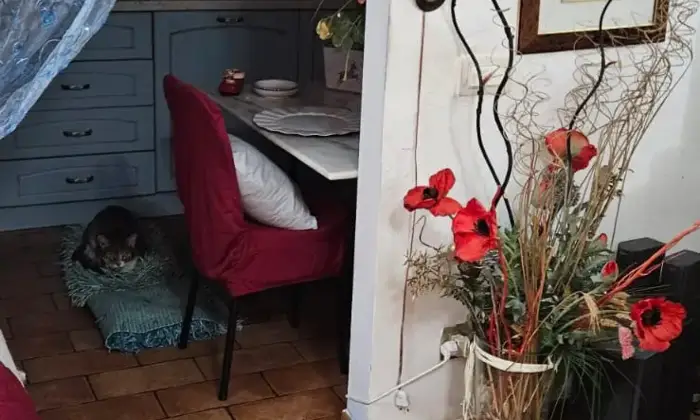 Rexer-CELLENO-Vendita-Casale-del-a-Celleno-Viterbo-Altro