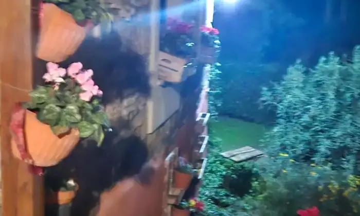 Rexer-CELLENO-Vendita-Casale-del-a-Celleno-Viterbo-Altro
