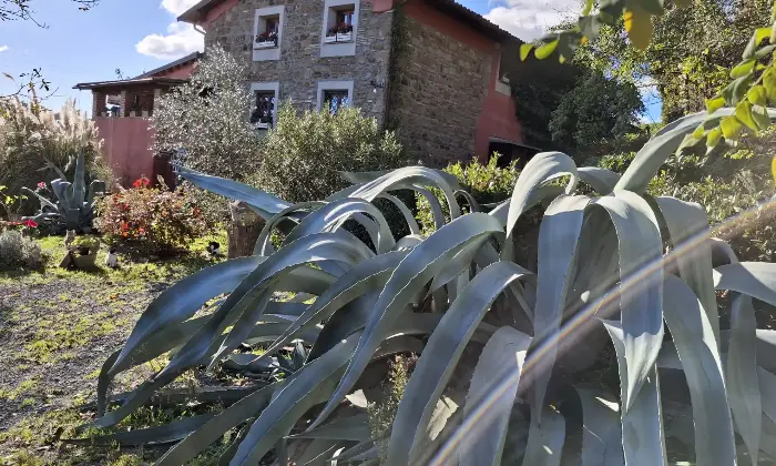 Rexer-CELLENO-Vendita-Casale-del-a-Celleno-Viterbo-Altro