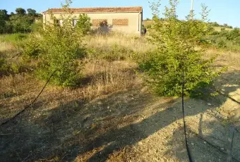 Rexer-Santa-Sofia-dEpiro-CS-Vendesi-Rustico-a-Santa-Sofia-dEpiro-Cosenza-Bisignano-Altro