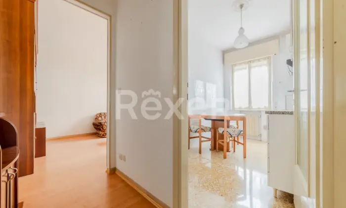 Rexer-Pordenone-Appartamento-al-piano-terra-con-box-auto-Altro