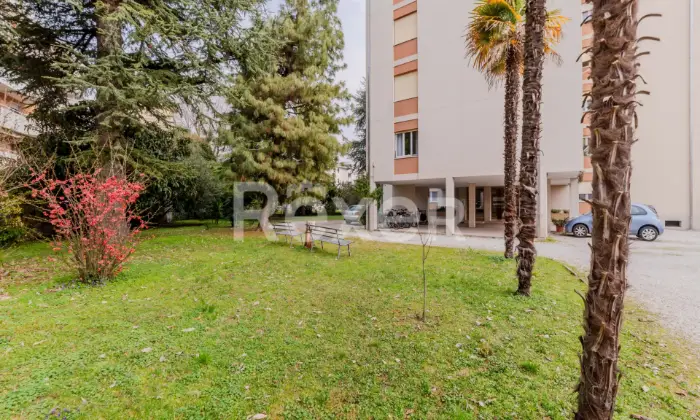 Rexer-Pordenone-Appartamento-al-piano-terra-con-box-auto-Altro