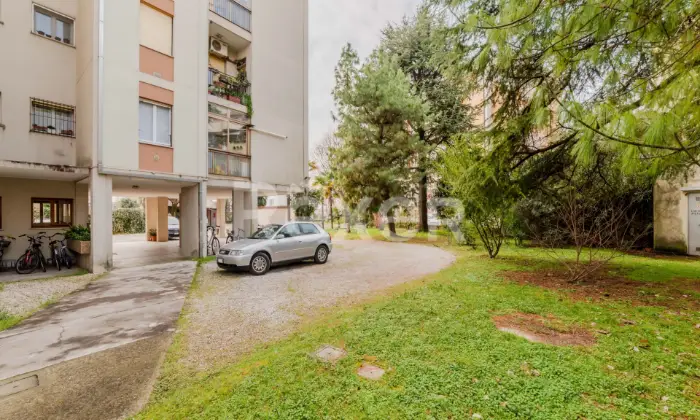 Rexer-Pordenone-Appartamento-al-piano-terra-con-box-auto-Altro