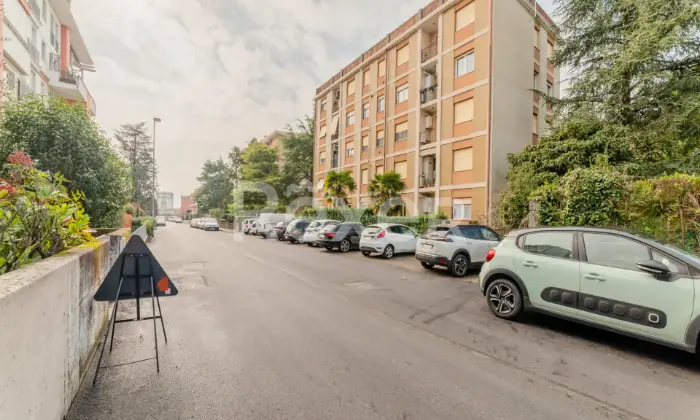 Rexer-Pordenone-Appartamento-al-piano-terra-con-box-auto-Altro