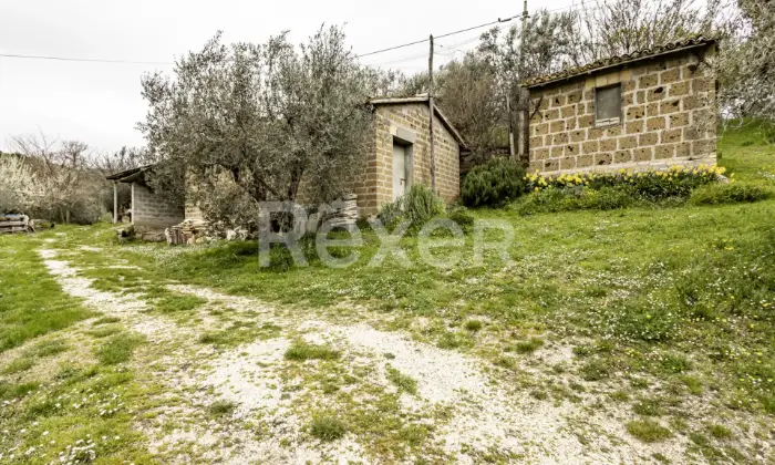 Rexer-Assisi-Casolare-con-Terreno-e-Uliveto-Altro