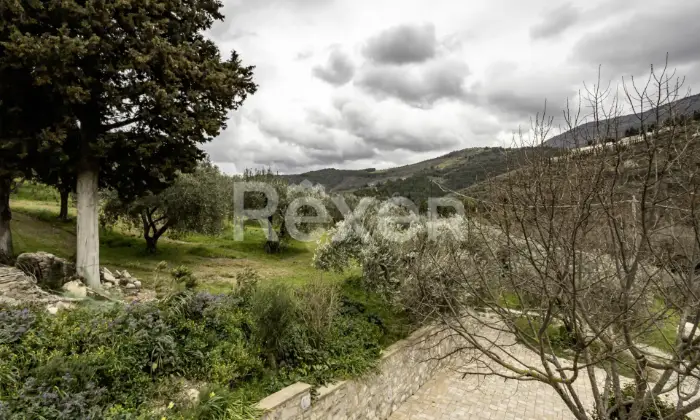 Rexer-Assisi-Casolare-con-Terreno-e-Uliveto-Altro