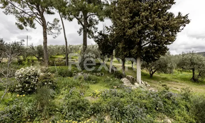 Rexer-Assisi-Casolare-con-Terreno-e-Uliveto-Altro