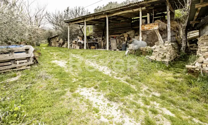 Rexer-Assisi-Casolare-con-Terreno-e-Uliveto-Altro