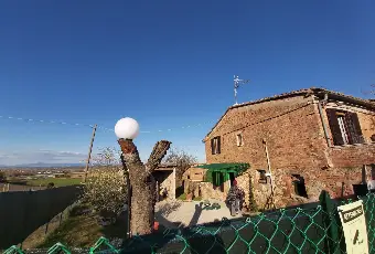 Rexer-Chiusi-Vendesi-Tipico-Casalino-Toscano-a-Chiusi-SI-Altro