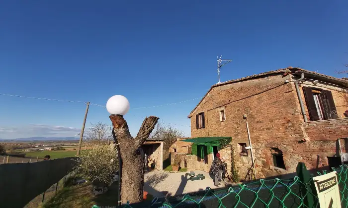 Rexer-Chiusi-Vendesi-Tipico-Casalino-Toscano-a-Chiusi-SI-Altro