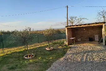 Rexer-Chiusi-Vendesi-Tipico-Casalino-Toscano-a-Chiusi-SI-Altro