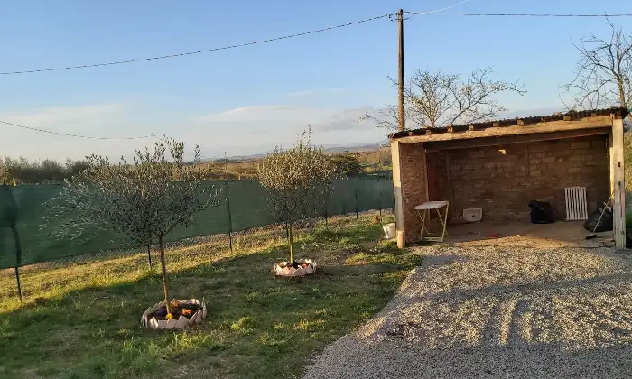 Rexer-Chiusi-Vendesi-Tipico-Casalino-Toscano-a-Chiusi-SI-Altro