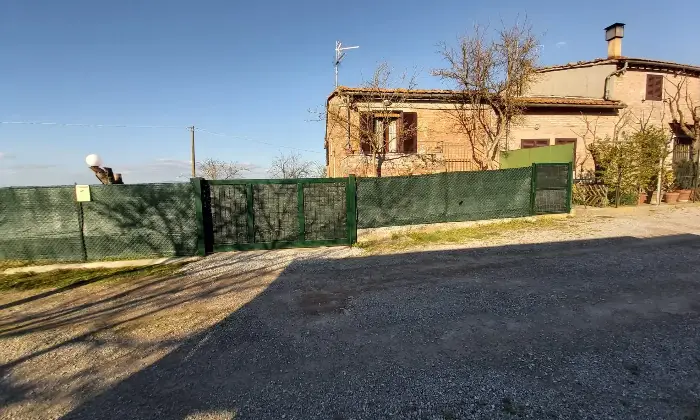 Rexer-Chiusi-Vendesi-Tipico-Casalino-Toscano-a-Chiusi-SI-Altro