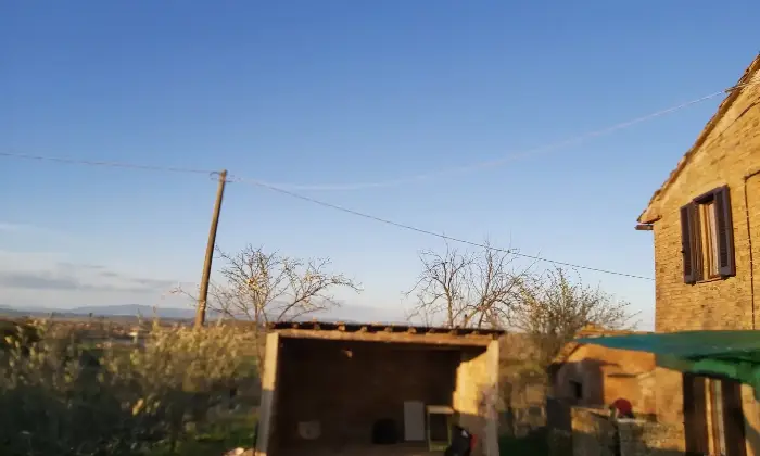 Rexer-Chiusi-Vendesi-Tipico-Casalino-Toscano-a-Chiusi-SI-Altro