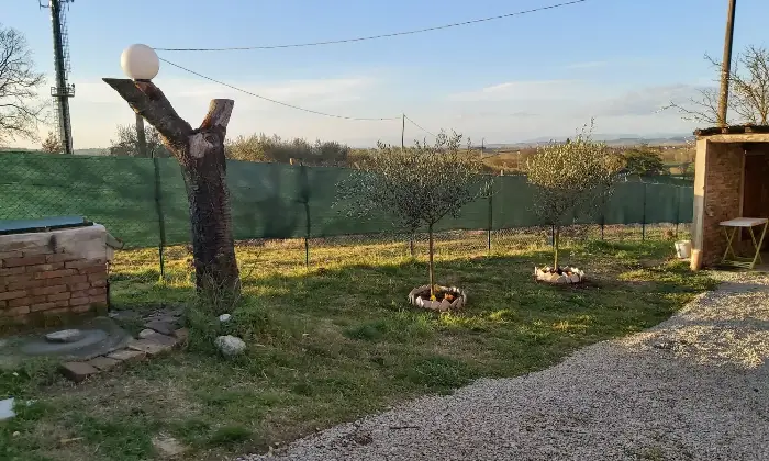 Rexer-Chiusi-Vendesi-Tipico-Casalino-Toscano-a-Chiusi-SI-Altro