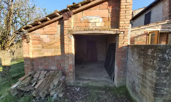 Rexer-Chiusi-Vendesi-Tipico-Casalino-Toscano-a-Chiusi-SI-Altro