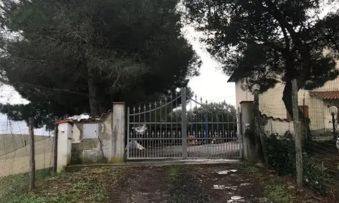 Rexer-Castellina-Marittima-Vendesi-Porzione-di-Casa-Colonica-a-Castellina-Marittima-PI-Altro