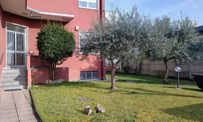 Rexer-Gorla-Maggiore-Trilocale-in-piccolo-condominio-con-basse-spese-Altro